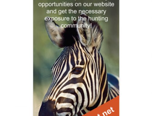 Where to Hunt